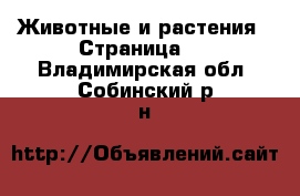  Животные и растения - Страница 3 . Владимирская обл.,Собинский р-н